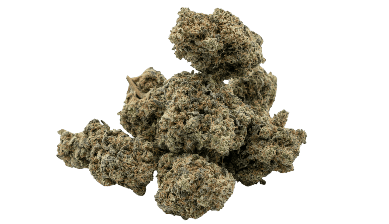 Grüne Cannabisblüten mit feinen Härchen